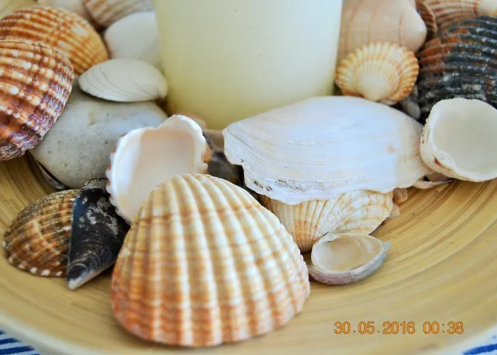 Διαμέρισμα Apartamentos Montalvo Playa *